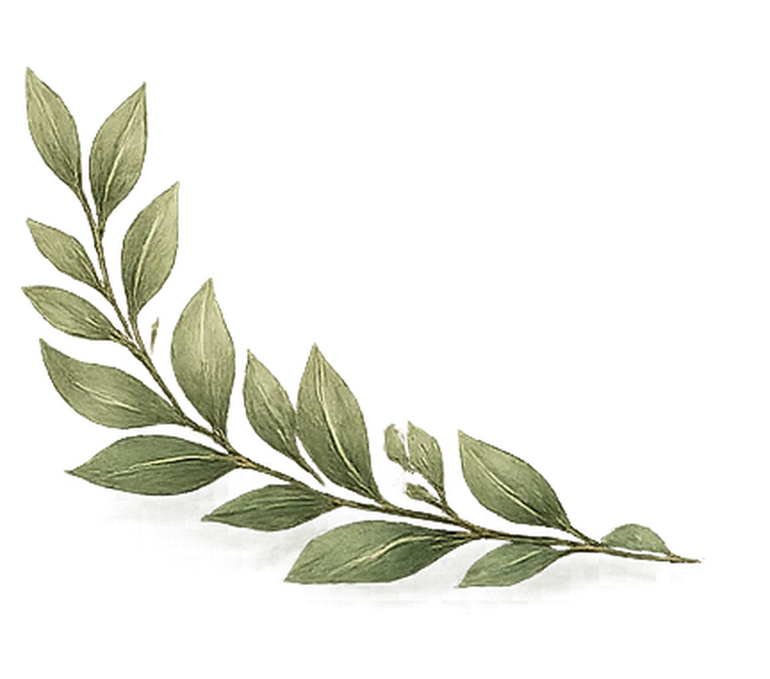 Footer Left Leaf