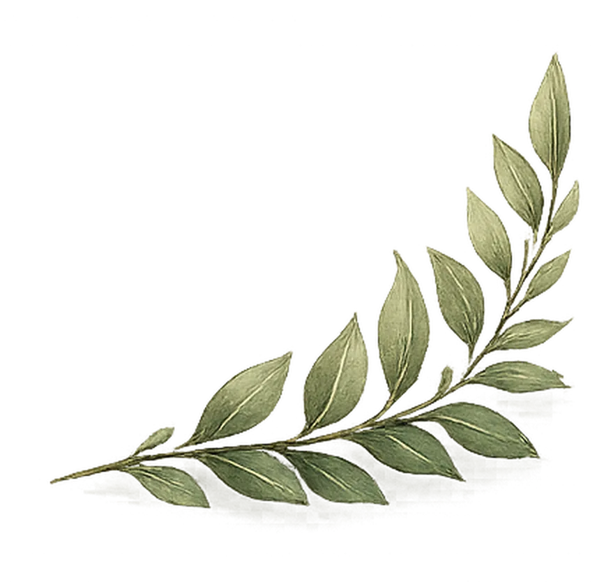 Footer Right Leaf