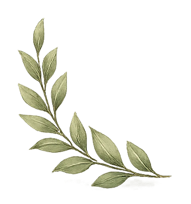 Left botanical leaf corner
