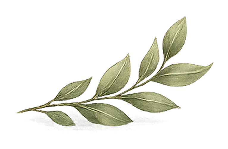 Right botanical leaf corner