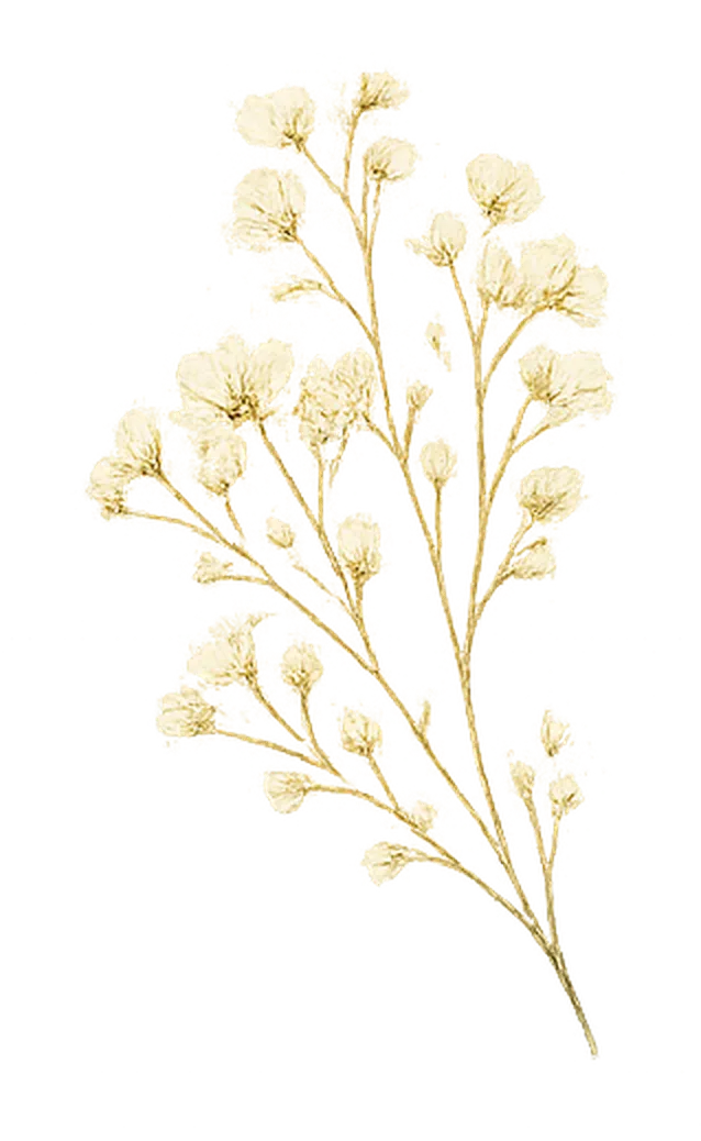Tall botanical flower sprig